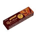 Lotte Salted Caramel with Fermented Butter 쏠티드 카라멜 위드 발효 버터 일본 54g 12팩