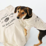 BYC 비와이씨 BYC신상 출시 2024 BYC 개리야스 커플후디 ODO0001