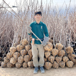 초록살롱 감나무 묘목 대봉감나무 6년생 분묘 결실주