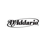 2573422 D Addario 다다리오 일렉트릭 장미 현 NYS0105