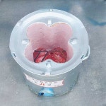 옛날 연탄화덕 연탄화로 화로대 2구 드럼통 연탄구이 3구 4구 원형
