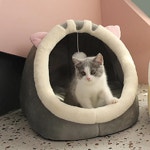 고양이 침대 수면 도움 애완 동물 고양이집 새끼 쿠션 가방 동굴 A