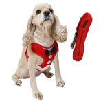 강아지 매쉬 턱시도 하네스 세트 M 리드줄 산책