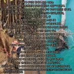 포포나무 뽀뽀나무 100cm전후 포포 실생 2년생나무 묘목 유실수 정원수 노지월동 목하원예조경