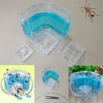 개미집 3차원 개미농장 입체터널 젤형태 투명 케이스 곤충키우기 곤충관찰 교구