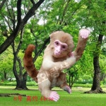 원숭이조형물 마당 조경 장식품-H 8호 레더몽키