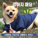 본부티크 강아지 후드 패딩 생활방수 겨울옷 1개