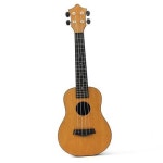 우쿨렐레 우쿨레레 입문용기타 현악기 기타배우기