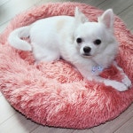 펫츄츄 솜사탕 도넛 애견 방석 쿠션 도넛방석-핑크