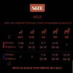 프라우드펫 가나지 국산 강아지기저귀 여아용 60매 - 초미니