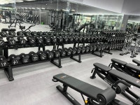 두비원 디랙스 바벨랙 TWF404