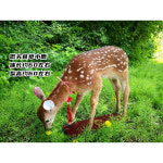사슴조형물 야외조형물 포토존 야외 장식품-C 아래 머리를 먹는 초식 사슴