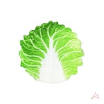 배추담요 소 436034-3