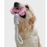 강아지 터그놀이 덴탈 로프본 토이 1P 치석관리