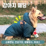 본부티크 강아지 후드 패딩 생활방수 겨울옷 1개 M 그린