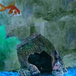 구피은신처 수족관장식품 가정용수족관 가재은신처