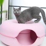 도넛 고양이 터널 집 하우스