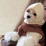 강아지 바라클라바 넥워머 겨울 니트 커플모자