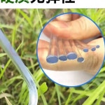 농업용 플라스틱 철사 고강도 과수원 농자재 플라스틱철사