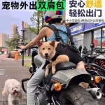 대형견 포대기 중형견 강아지 이동 들것