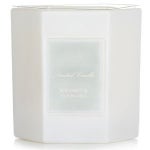 안티카 파마시스타 캔들 베르가못 앤 오션 아리아 255g