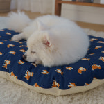 4가지 귀여운 일러스트 강아지 커버분리형 쿠션 방석 세트 1개 S 리틀포메