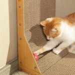 펫츄츄 고양이 공놀이 수직스크래쳐 공놀이스크래쳐-리필