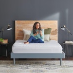 템퍼-페딕 템퍼-방수 매트리스 프로텍터 킹