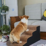 강아지 높은계단 5단 6단 계단 펫스텝 노령견 애완동물 반려용품 소파 코듀로이 라이트 높이 2단 스타일