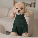 베일리 베일리 강아지옷 애견 실내복 가을 겨울옷 테디 풀오버 니트 1개 크림