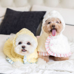 리치독스 리치독스 강아지 고양이 망토 담요 케이프 하트망토 L 핑크화이트 1개