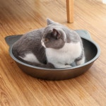 아하토이 고양이 시원한 하우스