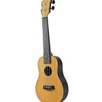 우쿨렐레 우쿨레레 입문용기타 현악기 기타배우기