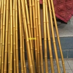 노인 감태지팡이 등나무 노인정 보조 나무지팡이