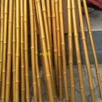 노인 감태지팡이 등나무 노인정 보조 나무지팡이