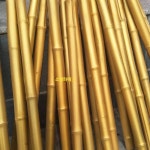 노인 감태지팡이 등나무 노인정 보조 나무지팡이