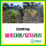 전국벌초대행 공원묘지 분묘1기