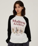 WAIKEI 와이케이 WAIKEI 말티즈 아카이브 래글런 롱슬리브 티셔츠 YKBD01TS10-1 229851