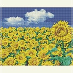 해바라기 들판 푸른 하늘 보석십자수 캔버스 40x50 TSWCFF253