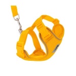 RC Pet Products Adventure Kitty 하네스 고양이 워킹 하네스 라지 메리골드 53805198