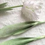 다채로운 리얼 터치 인공 앵무새 튤립 실물 같은 가짜 꽃 꽃다발 웨딩 장식 DIY 1 PC