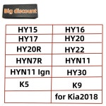 Lishi 2 in 1 도구 HY15 HY16 HY17 HY20 HY22 HY30 K5 K9 Kiia2018 용 HY20R HYN7R HYN11