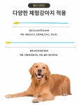 가축 인공 키트 정액 인공수정 교배 기구 주입기 강아지