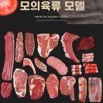 고기 모형 육류 정육점 소품 참고 생고기 등심 진열 로즈레드 레드브라운