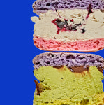 조인앤조인 널담 마카롱 뚱카롱 사랑 + 감동세트