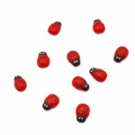 무당벌레 미니어처 세트 10개 곤충피규어 화분꾸미기