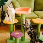 수직 스크래쳐 판 기둥 스크래치 보드