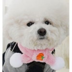 강아지 부드러운 펌프킨 목도리 1P 보온 머플러 겨울