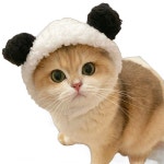 고양이 모자 겨울 머리띠 귀여운 곰 사자