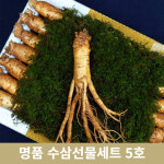 한국인삼유통공사 수삼 고려 5-6년근 금산 인삼 추석 명절 설날 거래처 선물세트 15뿌리 수삼 5호
